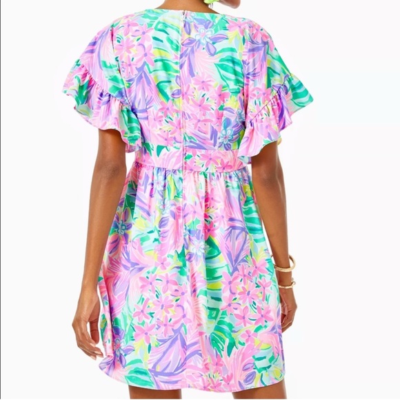 Lilly Pulitzer Blaire Stretch Dress It Was All A Dream Multi Print Women's 4 - Picture 3 of 8